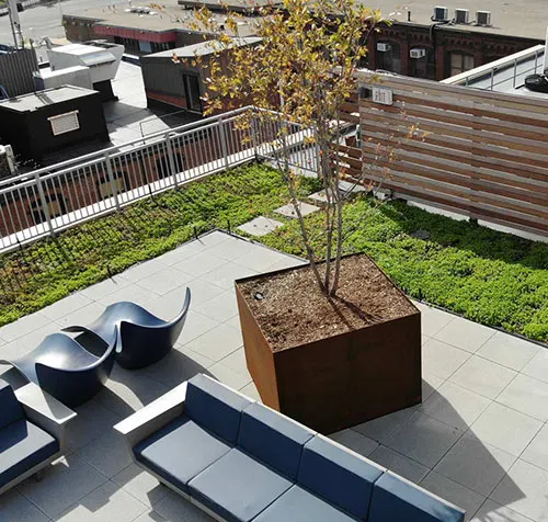 Commercial Green Roofs Boston