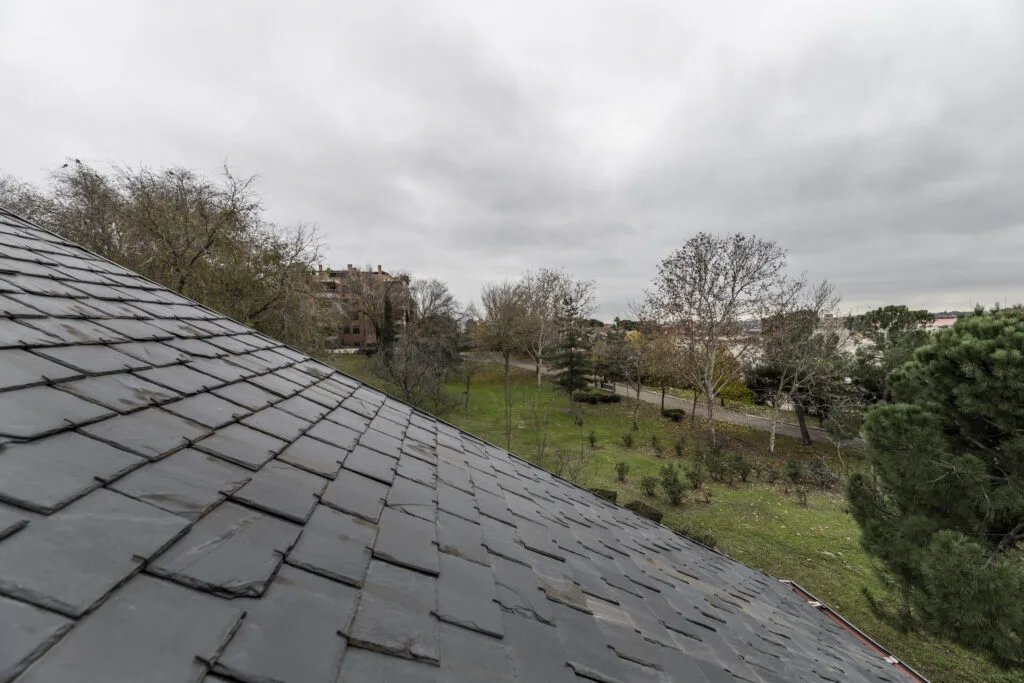 Sloped roofs of a house with black slate tiles and views of a park with lots of grass and trees