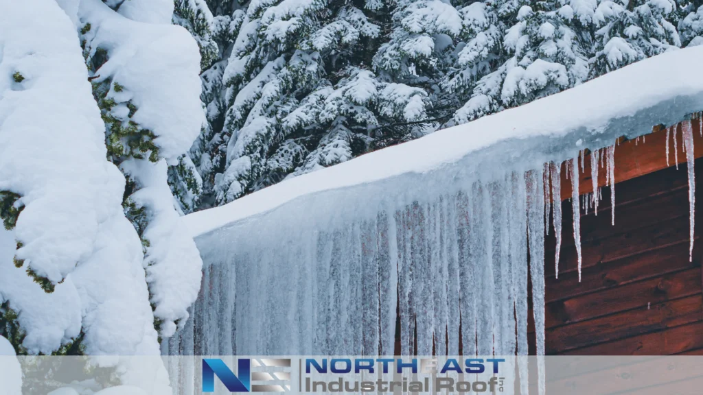 Winter Roof Leaks in Medford