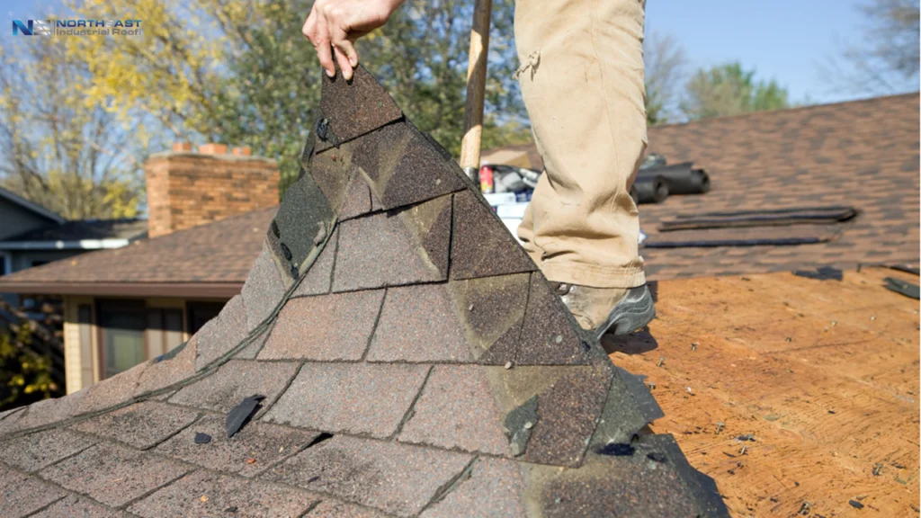 roof replacement in Peabody